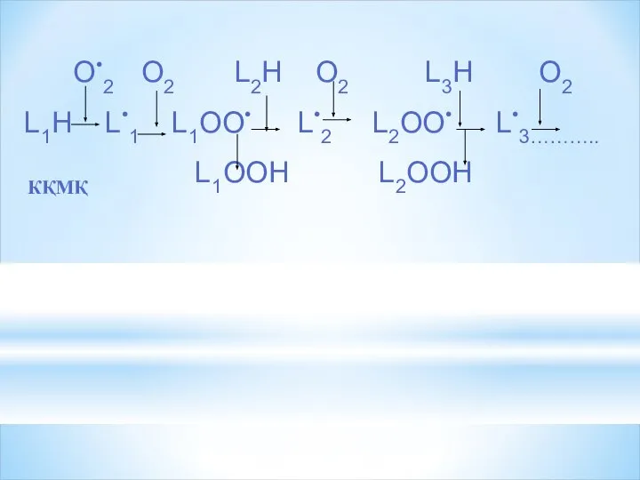 О•2 О2 L2Н О2 L3Н О2 L1Н L•1 L1OО• L•2 L2OО• L•3……….. L1OОН L2OОН КҚМҚ