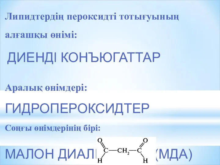 Липидтердің пероксидті тотығуының алғашқы өнімі: ДИЕНДl КОНЪЮГАТТАР Аралық өнімдері: ГИДРОПЕРОКСИДТЕР Соңғы өнімдерінің бірі: МАЛОН ДИАЛЬДЕГИДl (МДА)