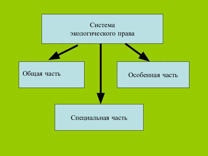 Система экологического права Особенная часть Специальная часть Общая часть