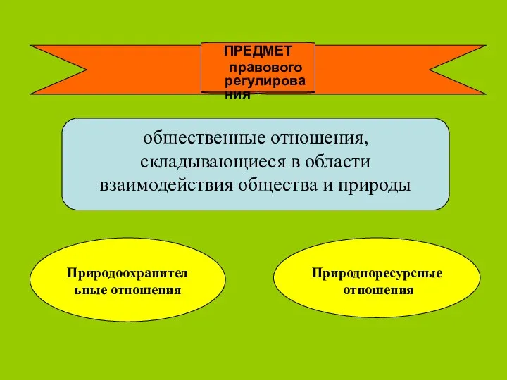 ПРЕДМЕТ правового регулирования общественные отношения, складывающиеся в области взаимодействия общества и природы Природоохранительные отношения Природноресурсные отношения