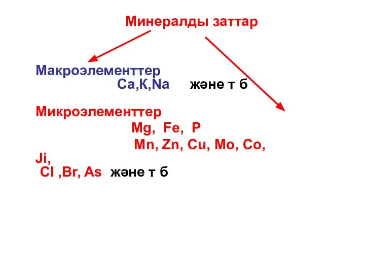 Минералды заттар Макроэлементтер Са,К,Na және т б Микроэлементтер Mg, Fe, P