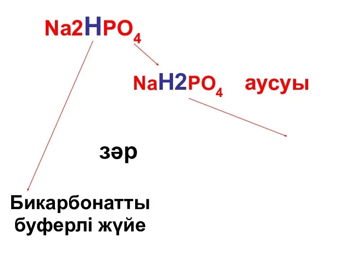 Na2HPO4 NaH2PO4 аусуы зәр Бикарбонатты буферлі жүйе