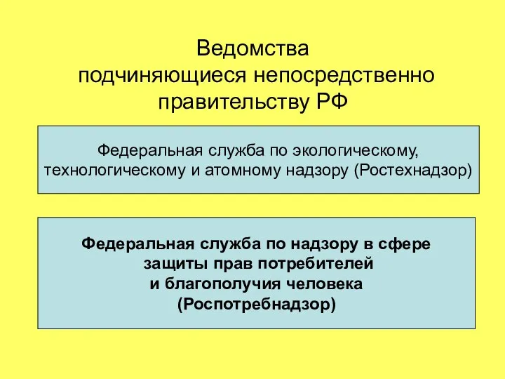 Ведомства подчиняющиеся непосредственно правительству РФ Федеральная служба по экологическому, технологическому и