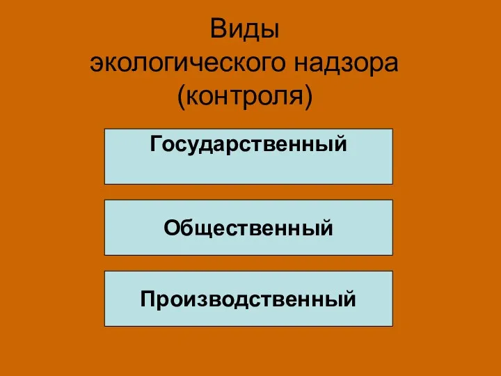 Виды экологического надзора (контроля) Государственный Общественный Производственный