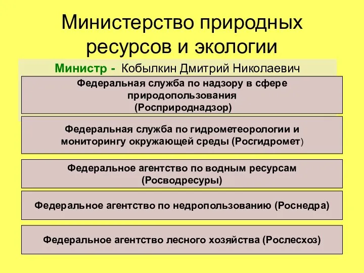 Министерство природных ресурсов и экологии Министр - Кобылкин Дмитрий Николаевич Федеральная