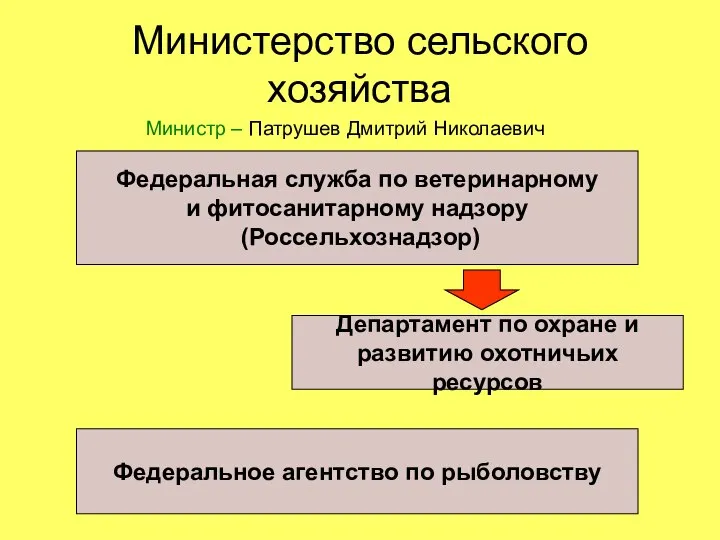 Министерство сельского хозяйства Министр – Патрушев Дмитрий Николаевич Федеральная служба по