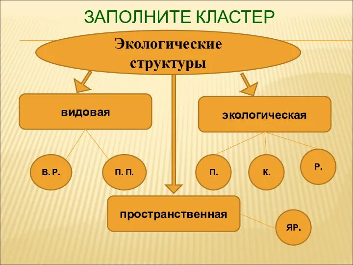 ЗАПОЛНИТЕ КЛАСТЕР Экологические структуры видовая пространственная экологическая В. Р. П. П. П. К. Р. ЯР.