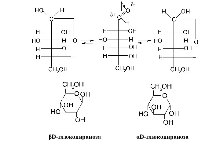 α­D-глюкопираноза β­D-глюкопираноза δ- δ+