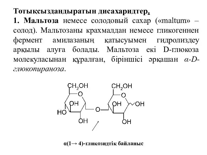 Тотықсыздандыратын дисахаридтер. 1. Мальтоза немесе солодовый сахар («maltum» – солод). Мальтозаны