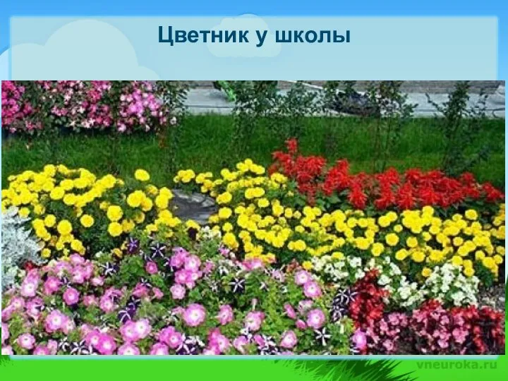 Цветник у школы