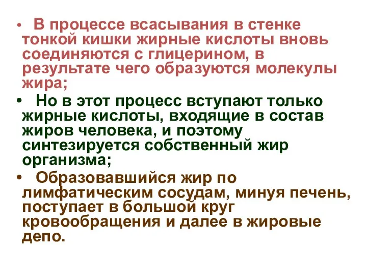 В процессе всасывания в стенке тонкой кишки жирные кислоты вновь соединяются