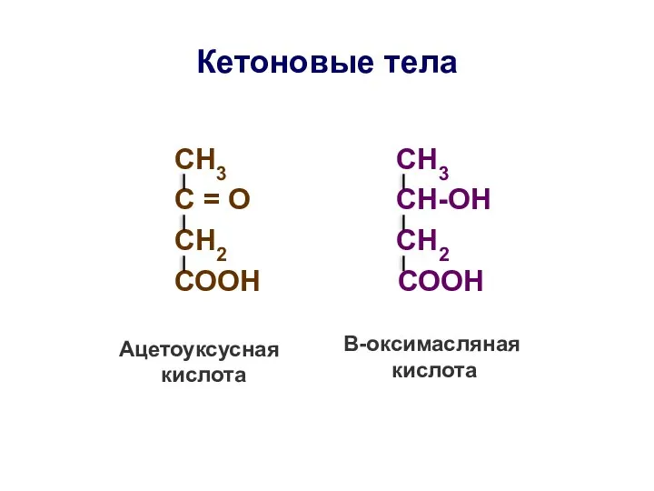 Кетоновые тела СН3 СН3 С = О СН-ОН СН2 СН2 СООН СООН Ацетоуксусная кислота Β-оксимасляная кислота