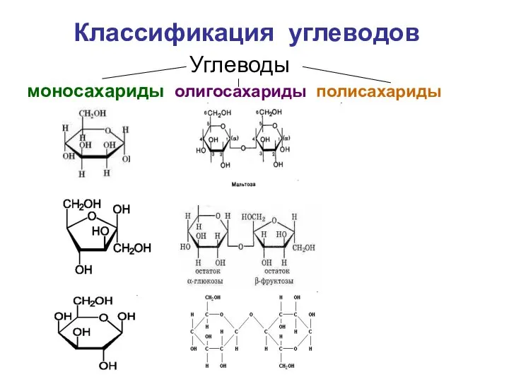 Классификация углеводов Углеводы моносахариды олигосахариды полисахариды