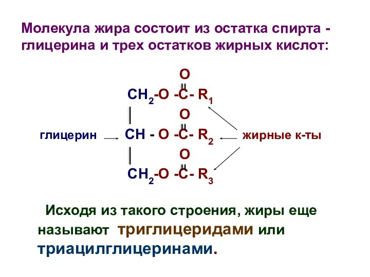 O CH2-O -C- R1 O глицерин CH - O -C- R2