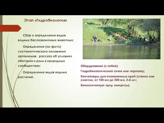 Этап «Гидробиология» Сбор и определение видов водных беспозвоночных животных; Определение (по