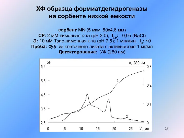 ХФ образца формиатдегидрогеназы на сорбенте низкой емкости сорбент MN (5 мкм,