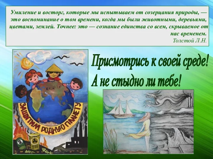 Умиление и восторг, которые мы испытываем от созерцания природы, — это