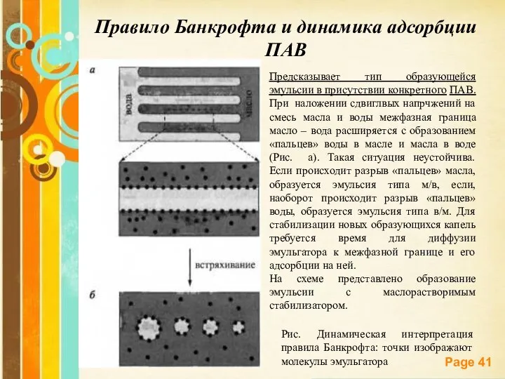 Правило Банкрофта и динамика адсорбции ПАВ Предсказывает тип образующейся эмульсии в