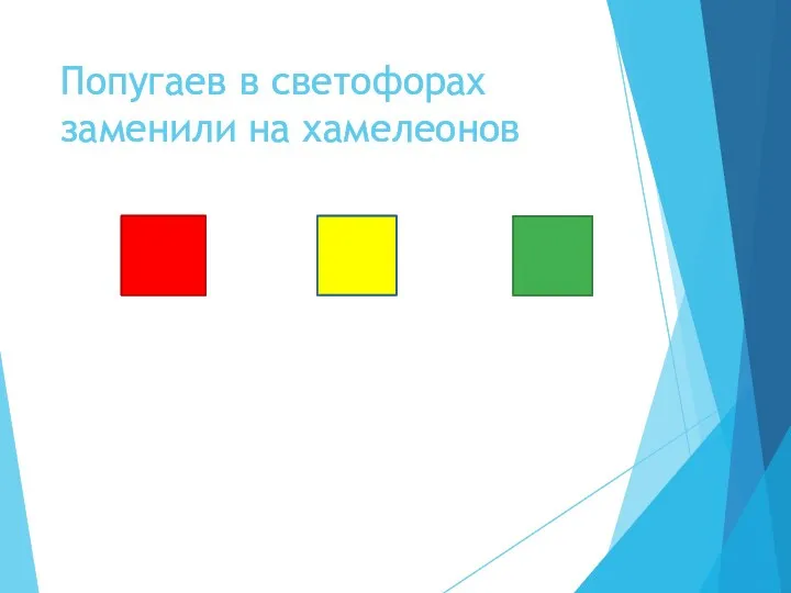 Попугаев в светофорах заменили на хамелеонов