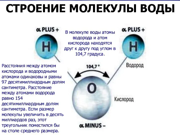 СТРОЕНИЕ МОЛЕКУЛЫ ВОДЫ В молекуле воды атомы водорода и атом кислорода