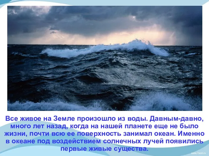 Все живое на Земле произошло из воды. Давным-давно, много лет назад,