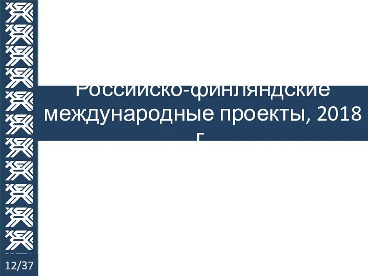 Российско-финляндские международные проекты, 2018 г. 12/37