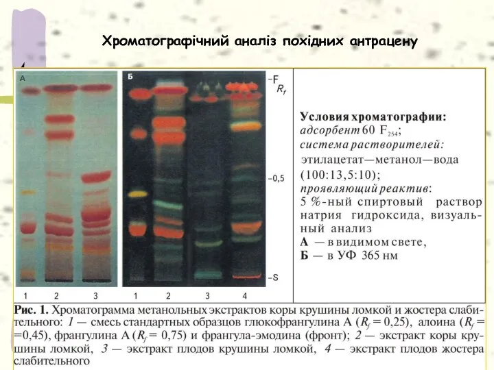 Хроматографічний аналіз похідних антрацену