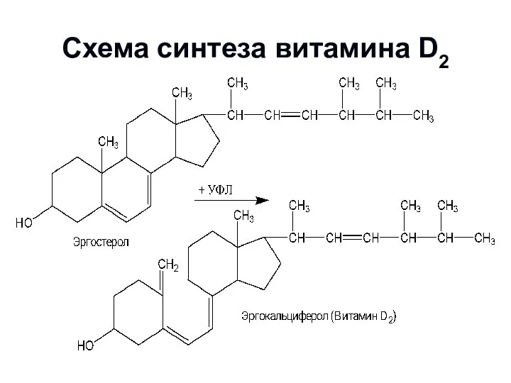 Схема синтеза витамина D2
