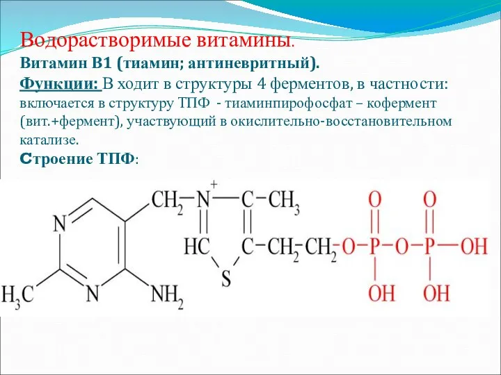 Водорастворимые витамины. Витамин В1 (тиамин; антиневритный). Функции: В ходит в структуры