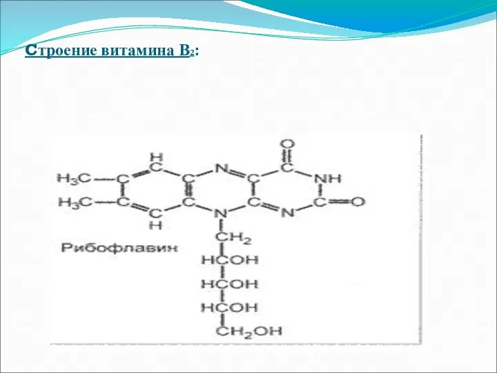 Cтроение витамина В2: