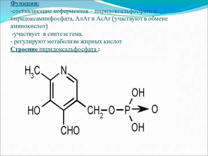 Витамин В6 (пиридоксин, пиридоксаль) Функции: -составляющие коферментов – пиридоксальфосфата и пиридоксаминфосфата,