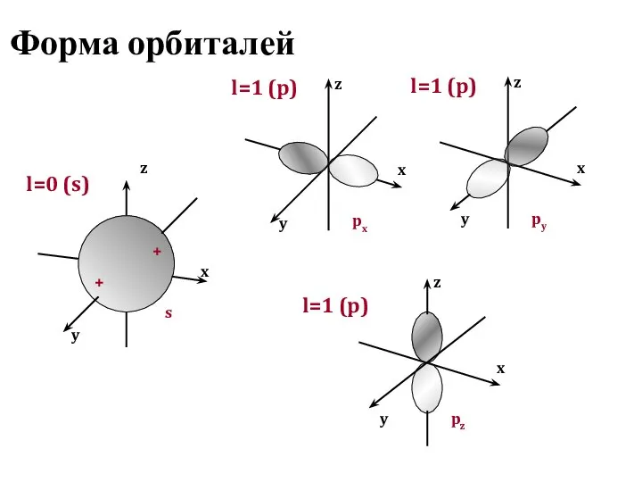 Форма орбиталей y x z l=0 (s) s + + y