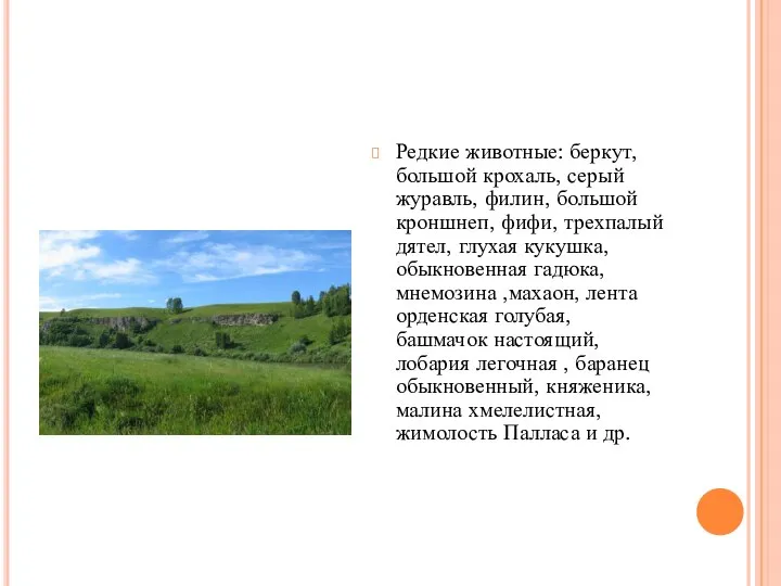 Редкие животные: беркут, большой крохаль, серый журавль, филин, большой кроншнеп, фифи,