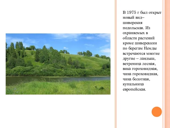 В 1975 г был открыт новый вид– шиверекия подольская. Из охраняемых