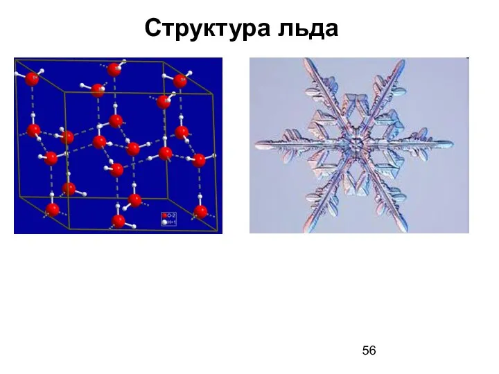 Структура льда