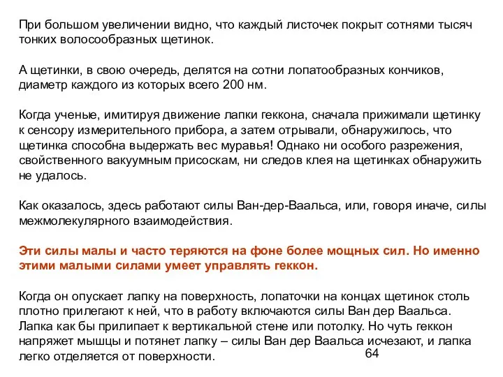 При большом увеличении видно, что каждый листочек покрыт сотнями тысяч тонких