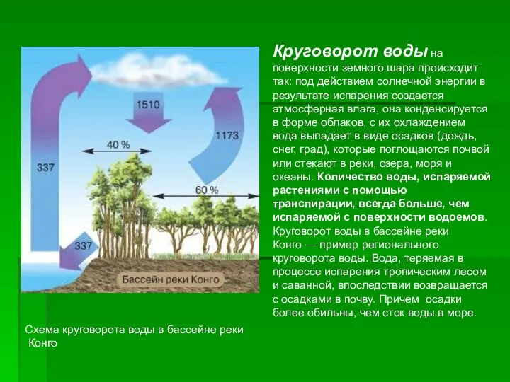 Схема круговорота воды в бассейне реки Конго Круговорот воды на поверхности