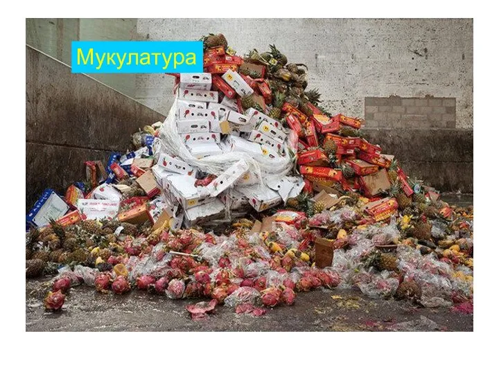 Мукулатура Мукулатура