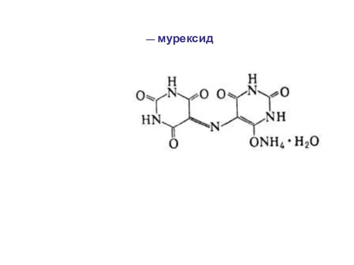 — мурексид