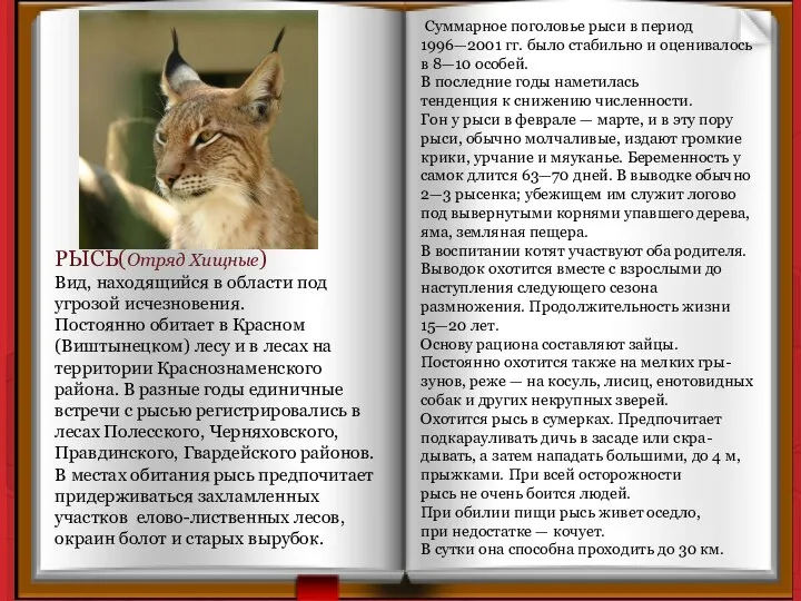 РЫСЬ(Отряд Хищные) Вид, находящийся в области под угрозой исчезновения. Постоянно обитает