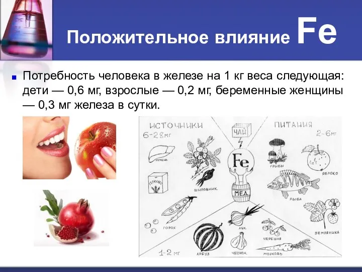 Положительное влияние Fe Потребность человека в железе на 1 кг веса