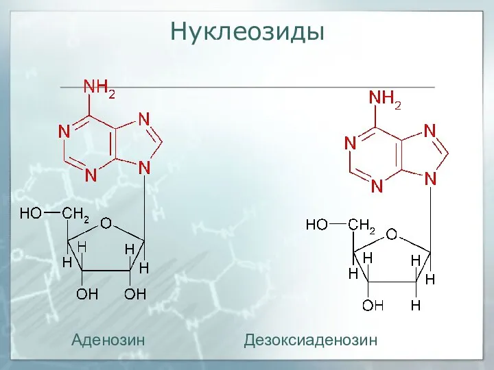 Нуклеозиды Аденозин Дезоксиаденозин