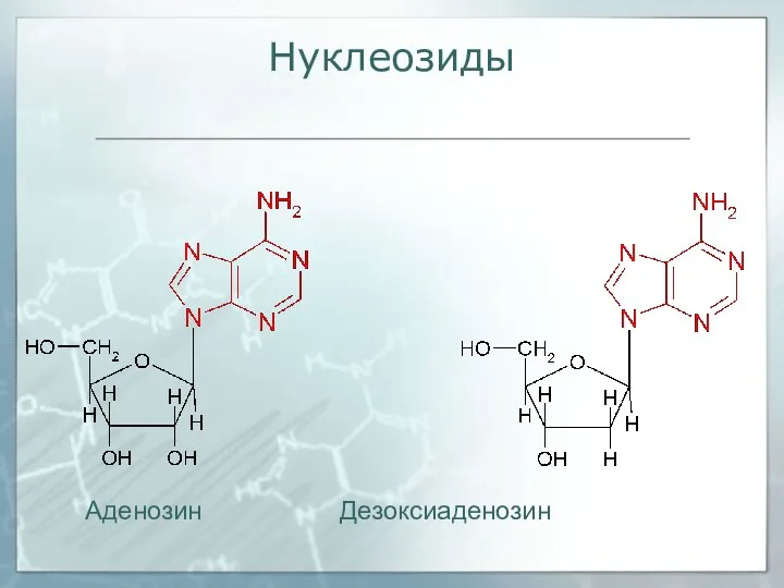 Нуклеозиды Аденозин Дезоксиаденозин