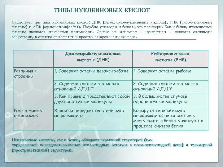 ТИПЫ НУКЛЕИНОВЫХ КИСЛОТ ТИПЫ НУКЛЕИНОВЫХ КИСЛОТ Нуклеиновые кислоты, как и белки,