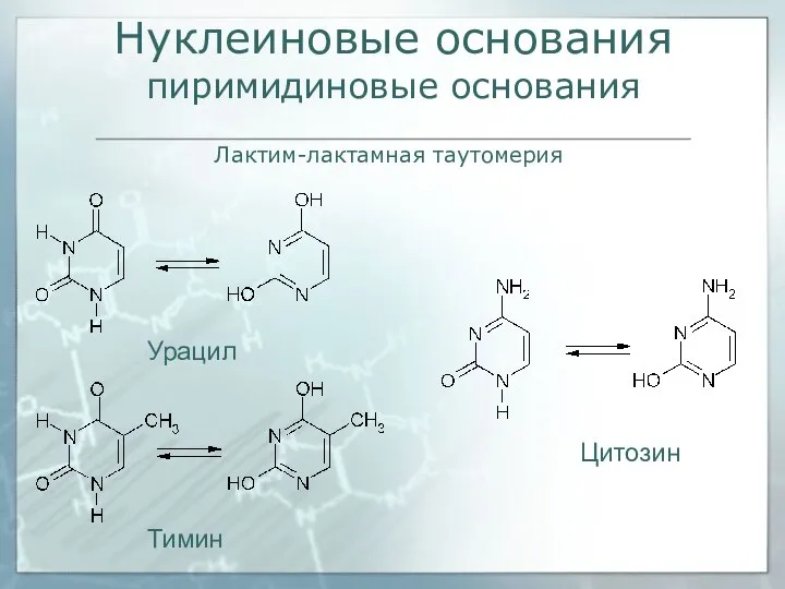 Нуклеиновые основания пиримидиновые основания Урацил Цитозин Тимин Лактим-лактамная таутомерия