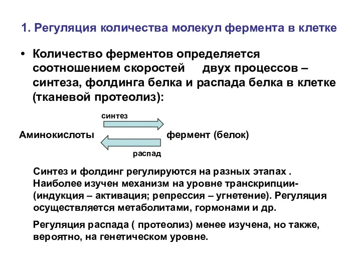 1. Регуляция количества молекул фермента в клетке Количество ферментов определяется соотношением