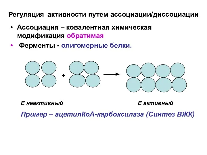 Регуляция активности путем ассоциации/диссоциации Ассоциация – ковалентная химическая модификация обратимая Ферменты