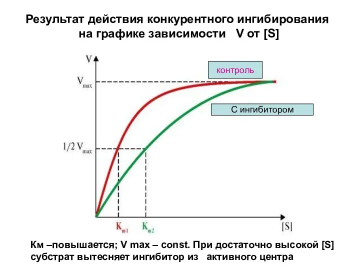 Результат действия конкурентного ингибирования на графике зависимости V от [S] контроль