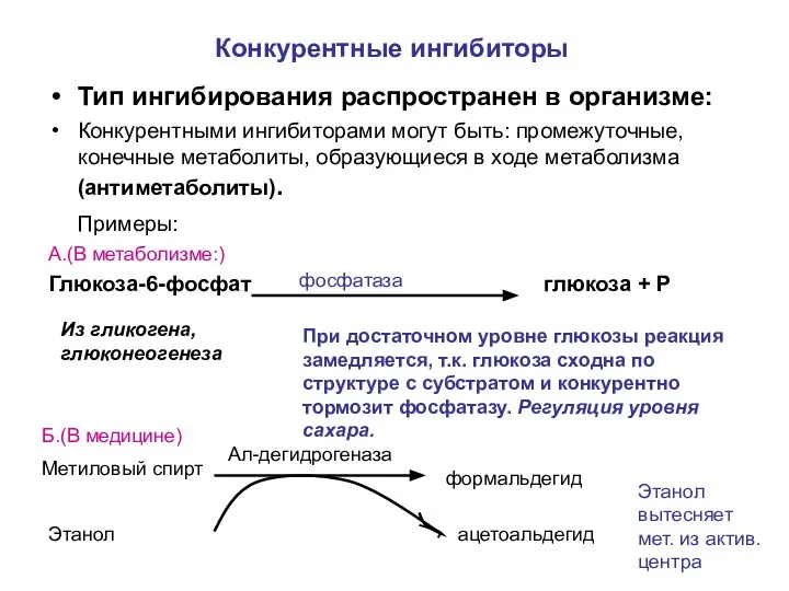 Конкурентные ингибиторы Тип ингибирования распространен в организме: Конкурентными ингибиторами могут быть: