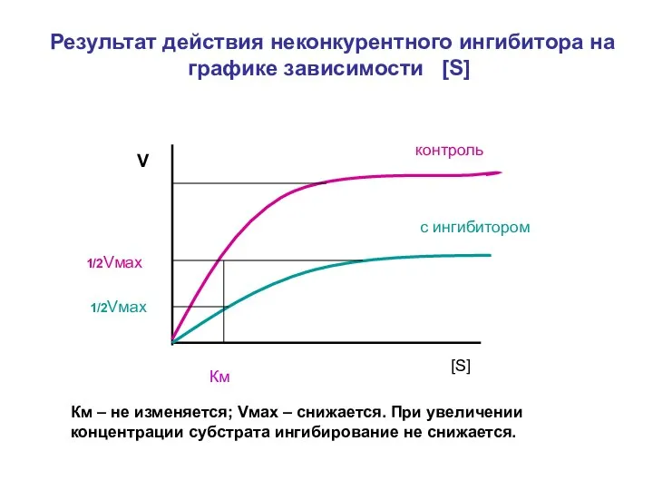 Результат действия неконкурентного ингибитора на графике зависимости [S] 1/2Vмах 1/2Vмах Км